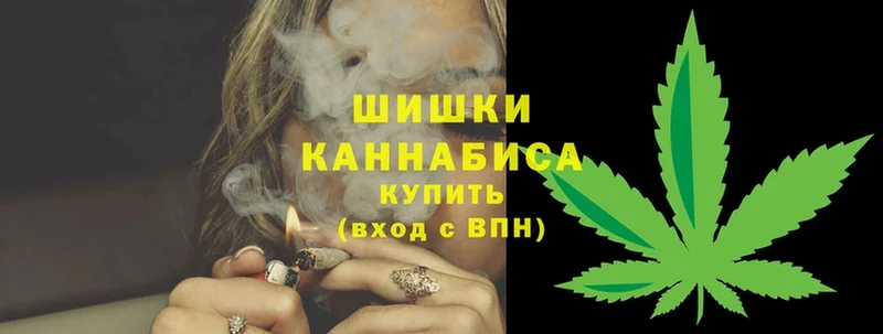 Бошки марихуана THC 21%  купить наркотик  Морозовск 